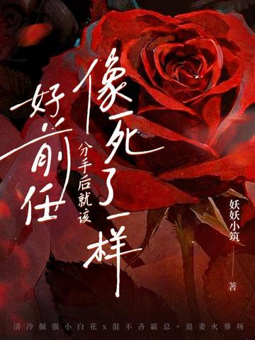 ��ǰ�Σ����ֺ�͸�������һ��